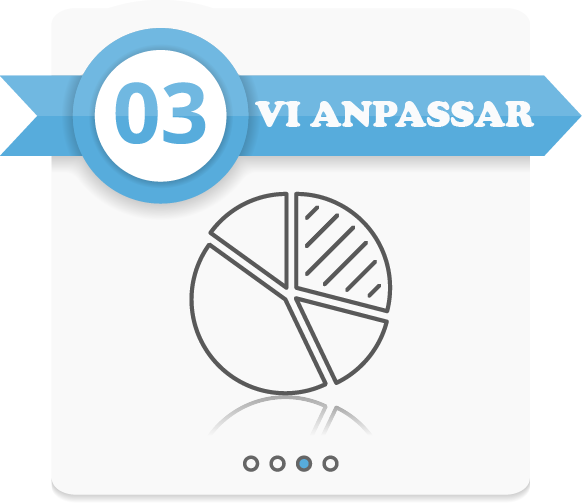 vi anpassar resor till indonesien