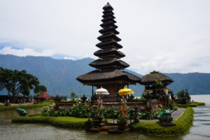 Baliexperten - livet från den ljusa sidan